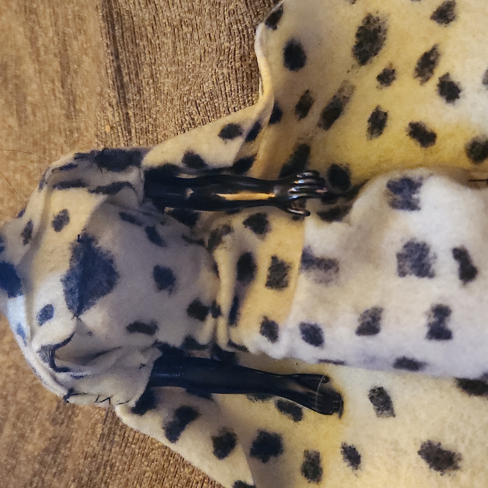 Custom cruella de Vil - Picture 4 of 4